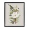 Stupell Industries Bumble Bee & Flower Floating Frame Design by House Fenway